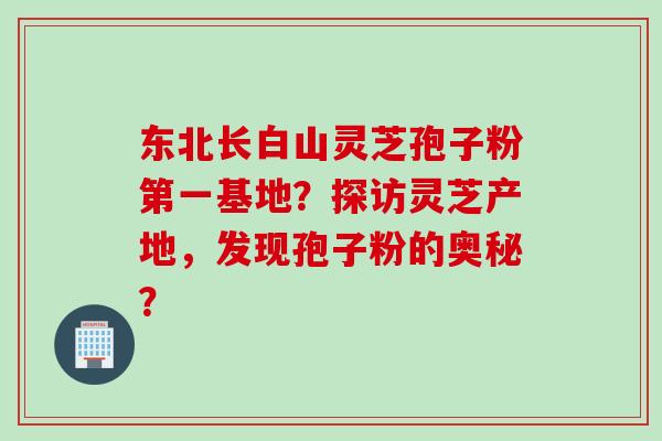 东北长白山灵芝孢子粉第一基地？探访灵芝产地，发现孢子粉的奥秘？