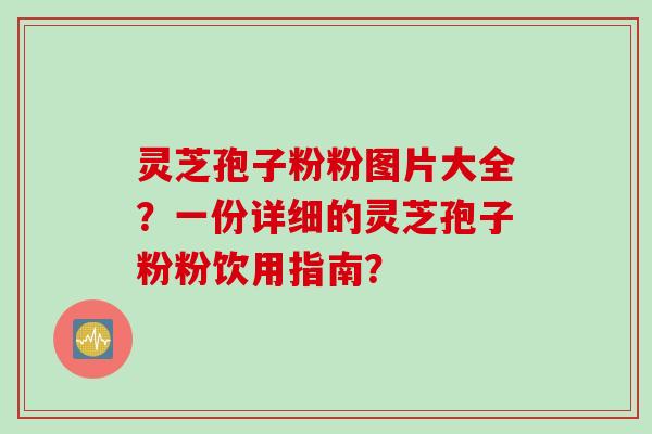 灵芝孢子粉粉图片大全？一份详细的灵芝孢子粉粉饮用指南？