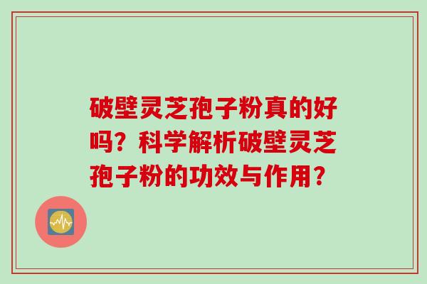 破壁灵芝孢子粉真的好吗？科学解析破壁灵芝孢子粉的功效与作用？
