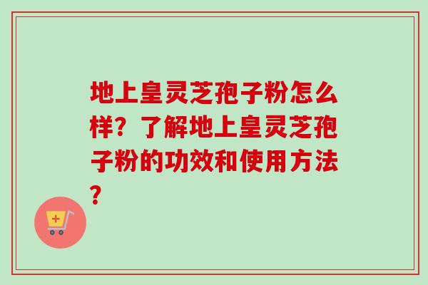 地上皇灵芝孢子粉怎么样？了解地上皇灵芝孢子粉的功效和使用方法？