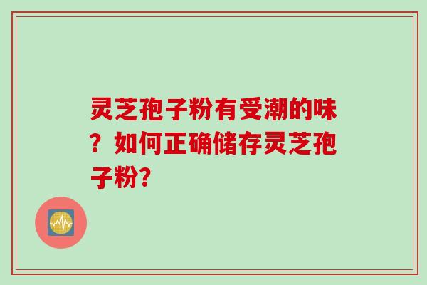 灵芝孢子粉有受潮的味？如何正确储存灵芝孢子粉？