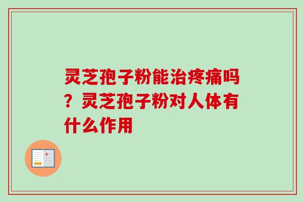 灵芝孢子粉能治疼痛吗？灵芝孢子粉对人体有什么作用