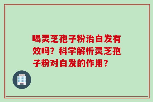 喝灵芝孢子粉治白发有效吗？科学解析灵芝孢子粉对白发的作用？