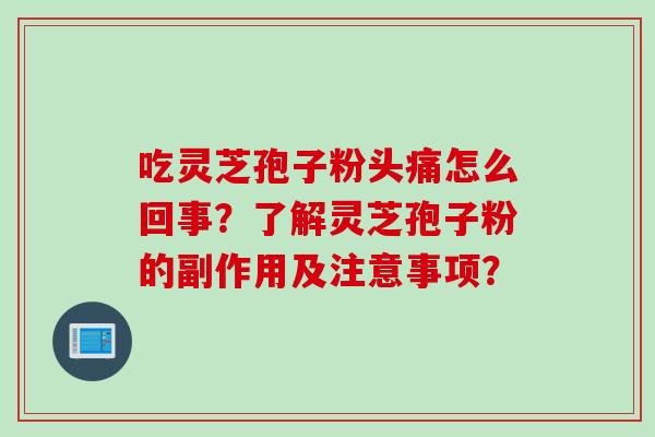 吃灵芝孢子粉头痛怎么回事？了解灵芝孢子粉的副作用及注意事项？