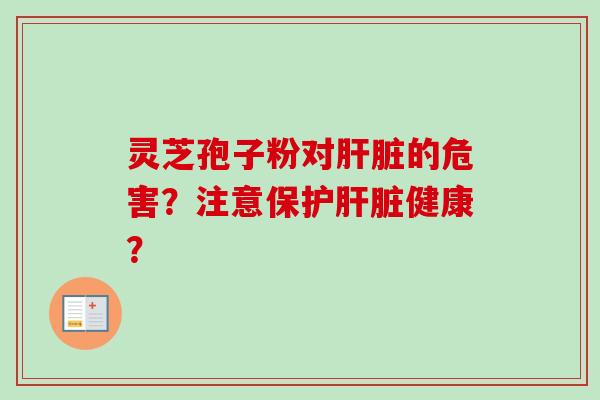 灵芝孢子粉对肝脏的危害？注意保护肝脏健康？