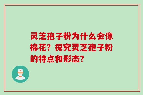 灵芝孢子粉为什么会像棉花？探究灵芝孢子粉的特点和形态？