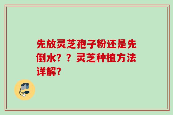 先放灵芝孢子粉还是先倒水？？灵芝种植方法详解？