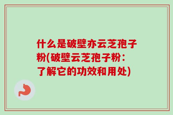 什么是破壁亦云芝孢子粉(破壁云芝孢子粉：了解它的功效和用处)