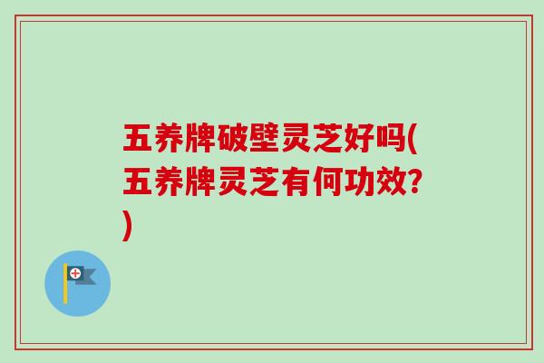 五养牌破壁灵芝好吗(五养牌灵芝有何功效？)