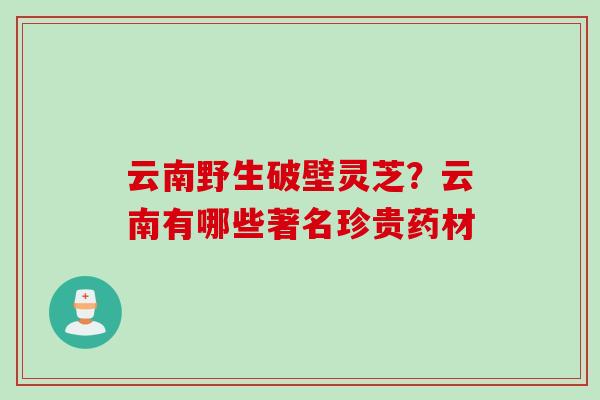 云南野生破壁灵芝？云南有哪些著名珍贵药材