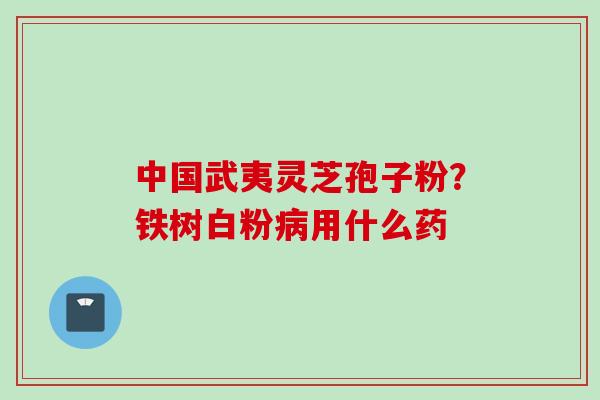 中国武夷灵芝孢子粉？铁树白粉病用什么药