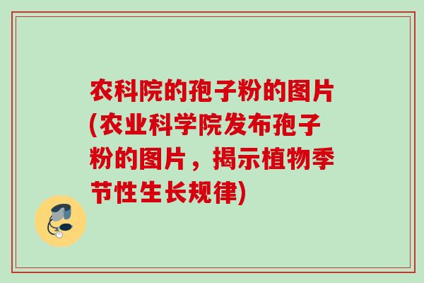 农科院的孢子粉的图片(农业科学院发布孢子粉的图片，揭示植物季节性生长规律)