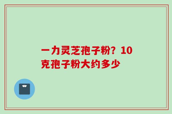 一力灵芝孢子粉？10克孢子粉大约多少