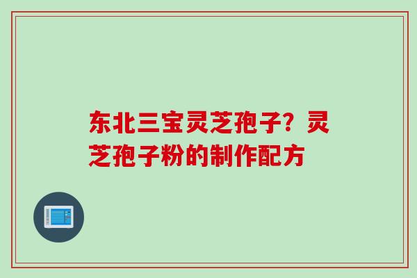东北三宝灵芝孢子？灵芝孢子粉的制作配方