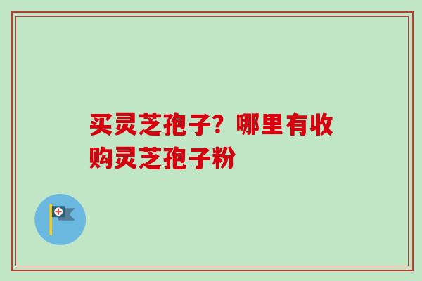 买灵芝孢子？哪里有收购灵芝孢子粉