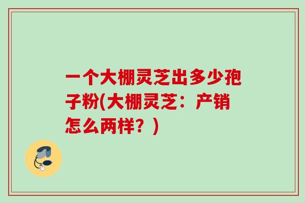 一个大棚灵芝出多少孢子粉(大棚灵芝：产销怎么两样？)