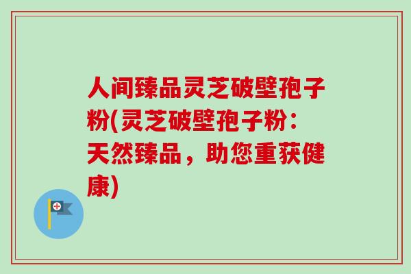 人间臻品灵芝破壁孢子粉(灵芝破壁孢子粉：天然臻品，助您重获健康)