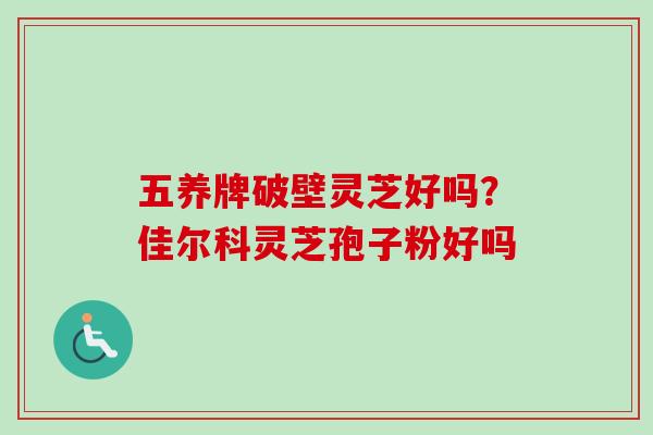 五养牌破壁灵芝好吗？佳尔科灵芝孢子粉好吗