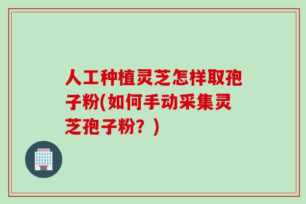 人工种植灵芝怎样取孢子粉(如何手动采集灵芝孢子粉？)