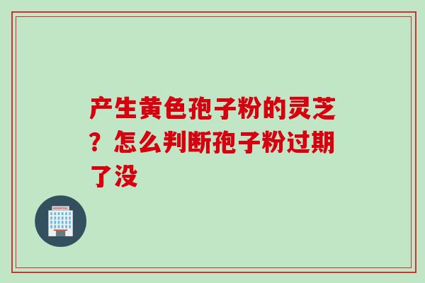 产生黄色孢子粉的灵芝？怎么判断孢子粉过期了没