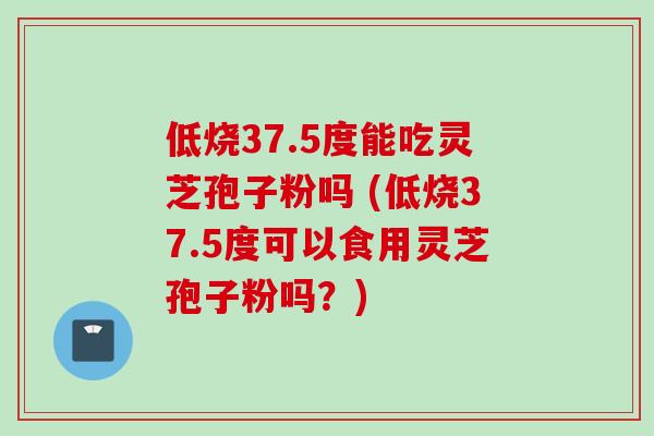 低烧37.5度能吃灵芝孢子粉吗 (低烧37.5度可以食用灵芝孢子粉吗?) 低烧37.5度能吃灵芝孢子粉吗 (低烧37.5度可以食用灵芝孢子粉吗?)