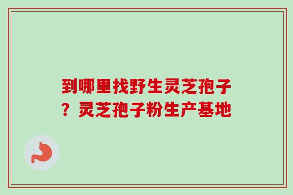 到哪里找野生灵芝孢子？灵芝孢子粉生产基地