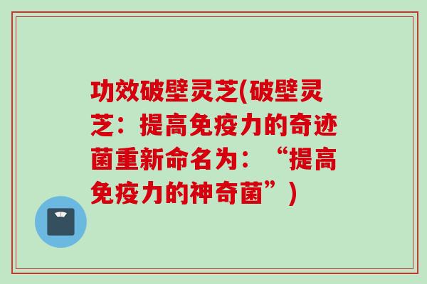 功效破壁灵芝(破壁灵芝：提高免疫力的奇迹菌重新命名为：“提高免疫力的神奇菌”)