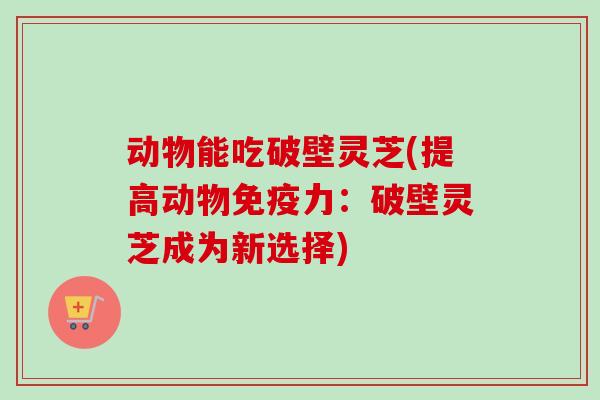 动物能吃破壁灵芝(提高动物免疫力：破壁灵芝成为新选择)