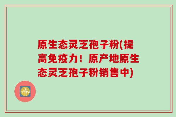 原生态灵芝孢子粉(提高免疫力！原产地原生态灵芝孢子粉销售中)