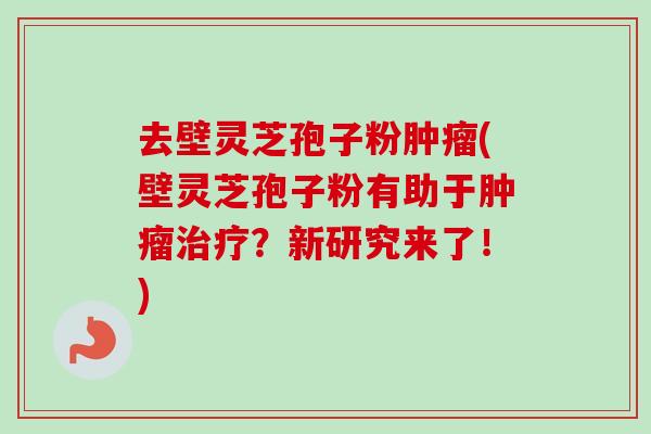 去壁灵芝孢子粉肿瘤(壁灵芝孢子粉有助于肿瘤治疗？新研究来了！)