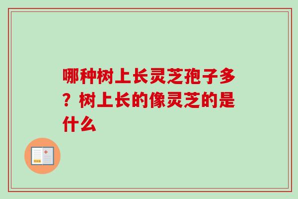 哪种树上长灵芝孢子多？树上长的像灵芝的是什么