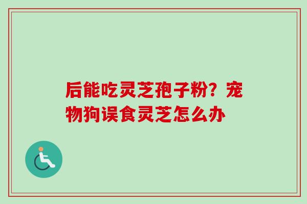 后能吃灵芝孢子粉？宠物狗误食灵芝怎么办