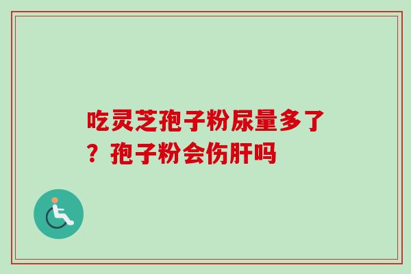 吃灵芝孢子粉尿量多了？孢子粉会伤肝吗