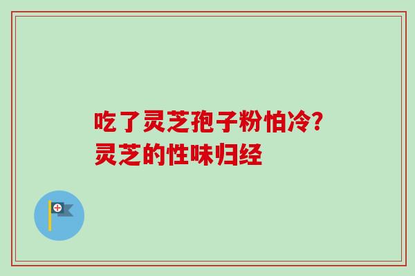 吃了灵芝孢子粉怕冷？灵芝的性味归经