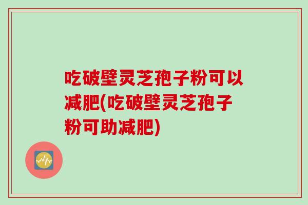 吃破壁灵芝孢子粉可以减肥(吃破壁灵芝孢子粉可助减肥)