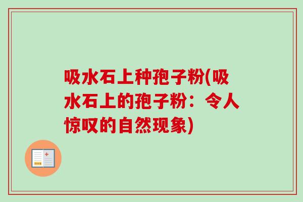 吸水石上种孢子粉(吸水石上的孢子粉：令人惊叹的自然现象)