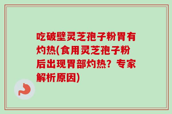 吃破壁灵芝孢子粉胃有灼热(食用灵芝孢子粉后出现胃部灼热？专家解析原因)