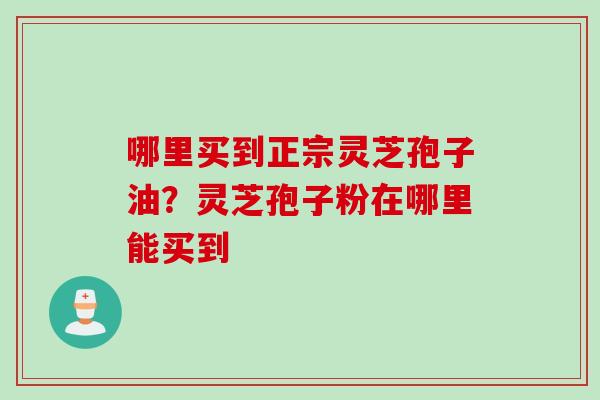 哪里买到正宗灵芝孢子油？灵芝孢子粉在哪里能买到