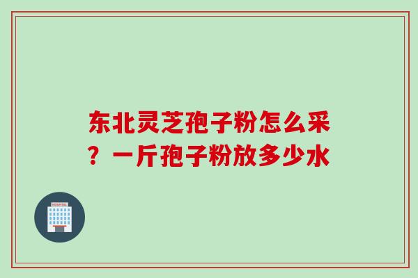 东北灵芝孢子粉怎么采？一斤孢子粉放多少水