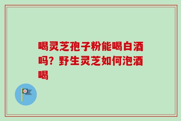 喝灵芝孢子粉能喝白酒吗？野生灵芝如何泡酒喝