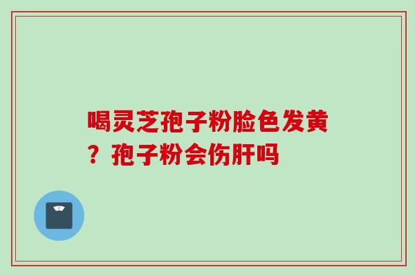 喝灵芝孢子粉脸色发黄？孢子粉会伤肝吗