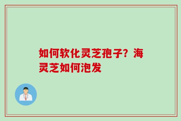 如何软化灵芝孢子？海灵芝如何泡发