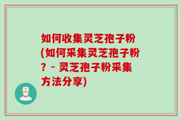 如何收集灵芝孢子粉 (如何采集灵芝孢子粉？- 灵芝孢子粉采集方法分享)