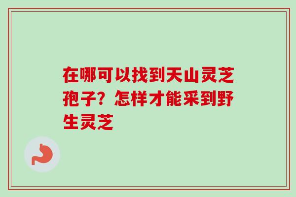 在哪可以找到天山灵芝孢子？怎样才能采到野生灵芝