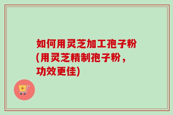 如何用灵芝加工孢子粉(用灵芝精制孢子粉，功效更佳)