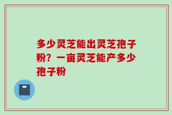 多少灵芝能出灵芝孢子粉？一亩灵芝能产多少孢子粉