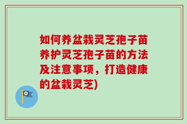 如何养盆栽灵芝孢子苗养护灵芝孢子苗的方法及注意事项,打造健康的盆栽灵芝) 如何养盆栽灵芝孢子苗养护灵芝孢子苗的方法及注意事项,打造健康的盆栽灵芝)