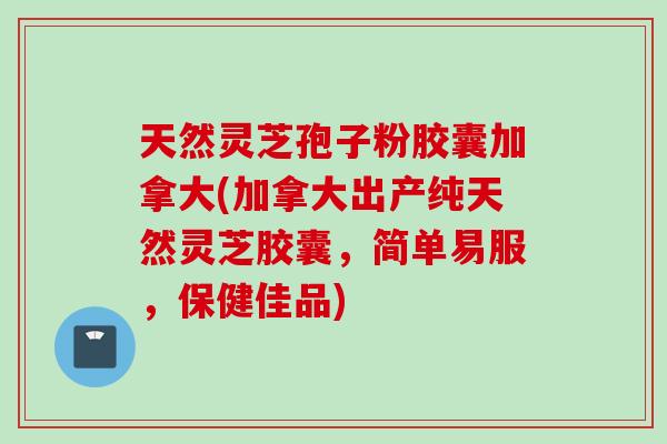 天然灵芝孢子粉胶囊加拿大(加拿大出产纯天然灵芝胶囊，简单易服，保健佳品)