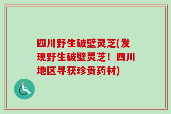 四川野生破壁灵芝(发现野生破壁灵芝！四川地区寻获珍贵药材)