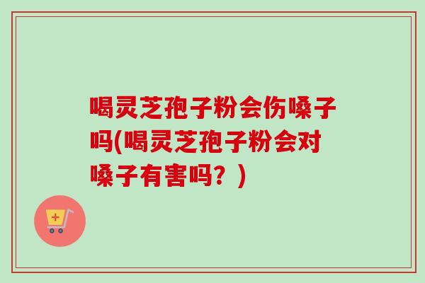 喝灵芝孢子粉会伤嗓子吗(喝灵芝孢子粉会对嗓子有害吗？)